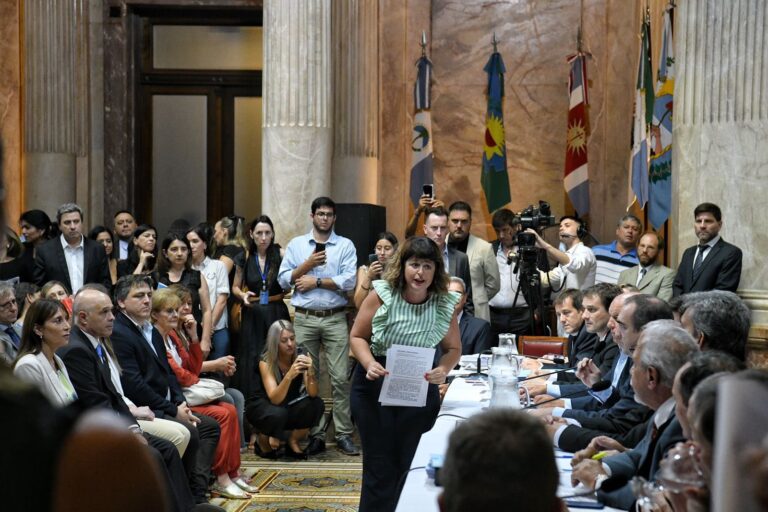 Mega DNU: Se conformó la Comisión Bicameral