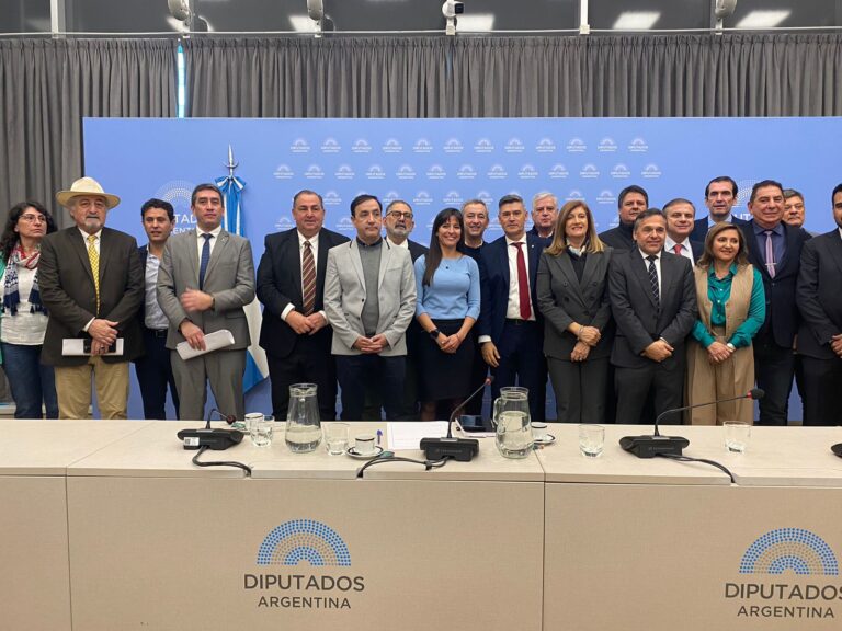 La Red Federal de Intendentes fue al Congreso a reclamar soluciones para el Transporte